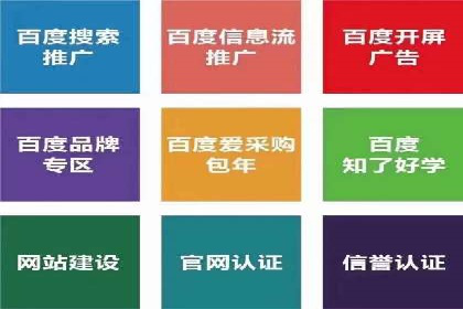 竞价代运营助力电商销量翻倍案例
